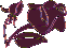 rose1mini.gif