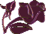 rose1sm